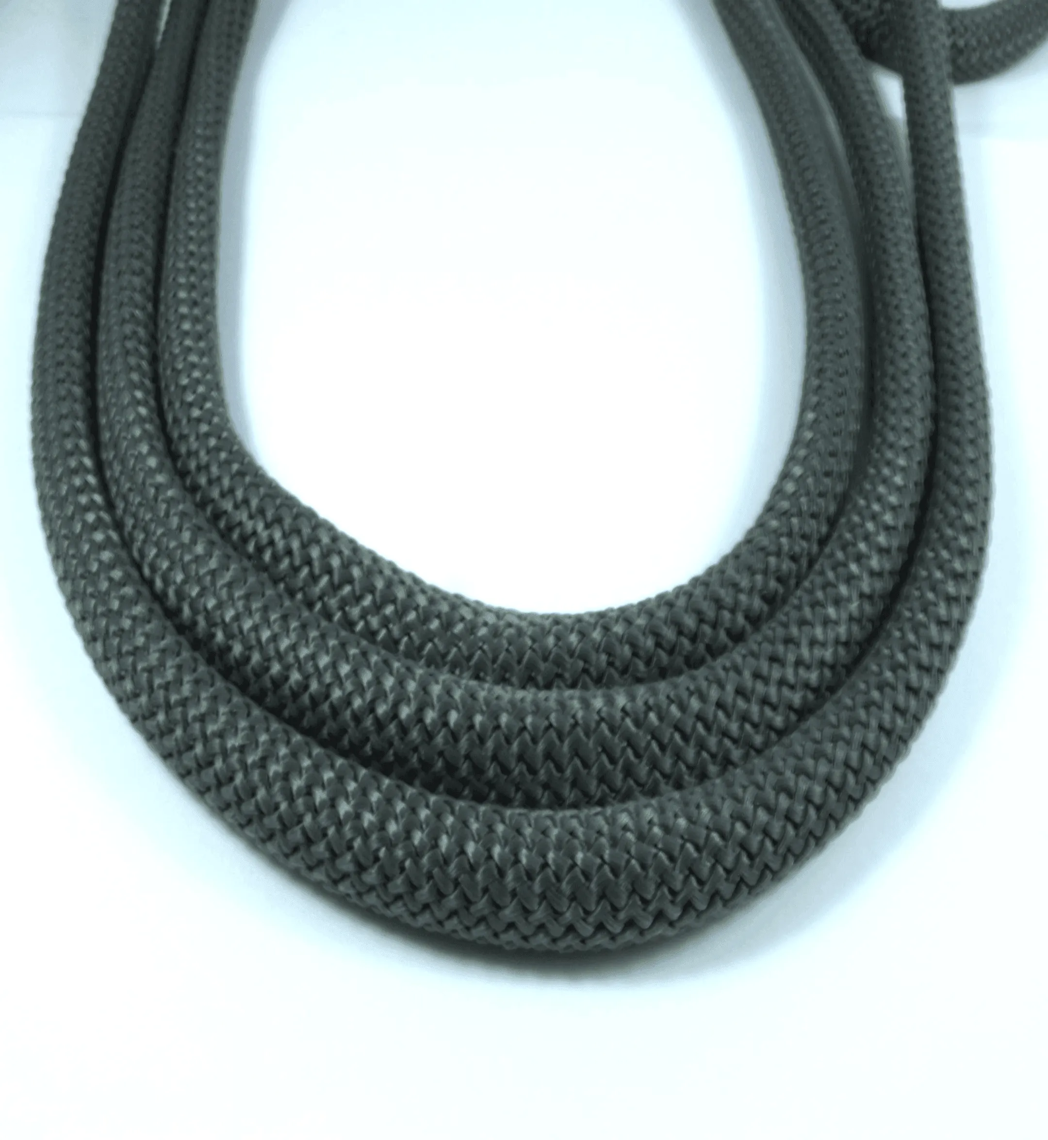 Black Dog Leash