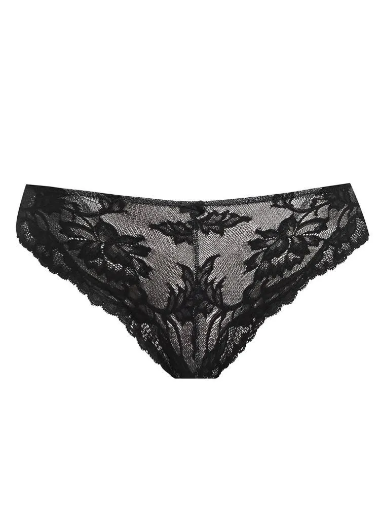 Bronte Brief